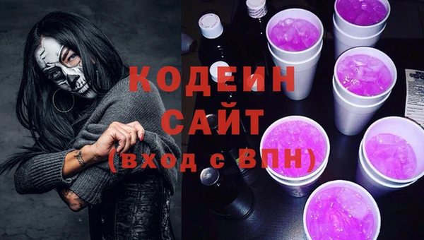 гашик Арсеньев
