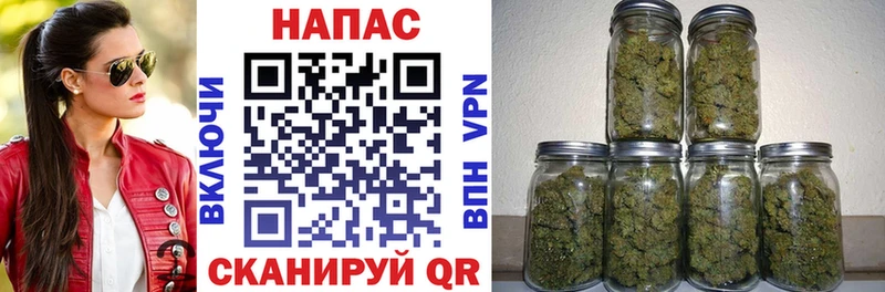 МАРИХУАНА план Мамоново
